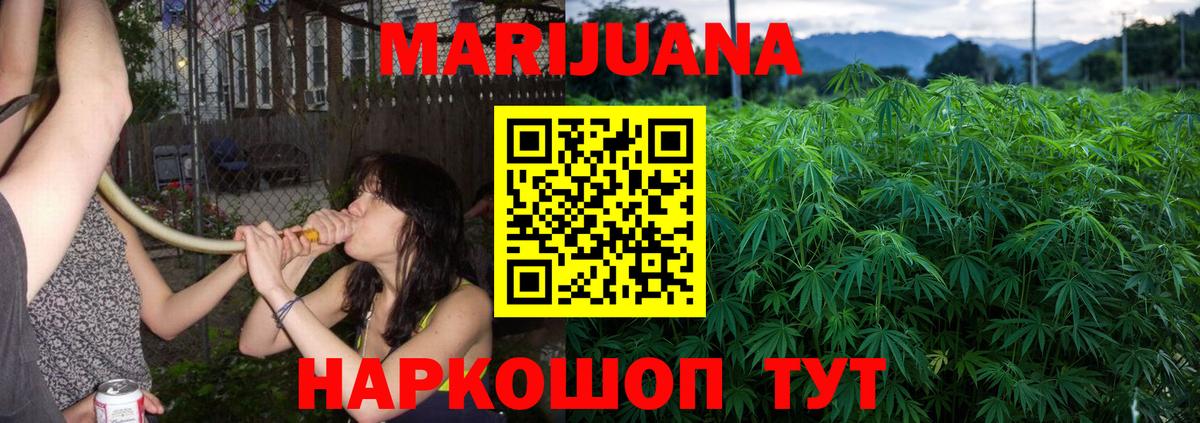 Бошки марихуана конопля  Бошки Шишки тримм  Вход с VPN  МАРИХУАНА тримм  Сунжа 